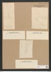 Amphiprora decussata Grun. (de-Toni-Nr.: Genus 29, Species 1319) Zeichnungen Sammlung Grunow Nr. 2545 (NHMW-BOT-W0369720)